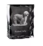 Bearded Collie, Highland Collie, Mountain Collie - crystal with a picture of a dog, glass statuette with a picture, unique frame with a picture from Art-Dog brand