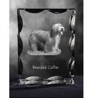 Bearded Collie, Highland Collie, Mountain Collie - crystal with a picture of a dog, glass statuette with a picture, unique frame with a picture from Art-Dog brand
