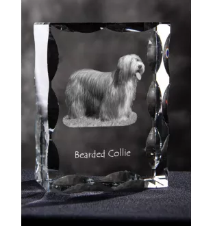 Collie Barbu, Bearded collie, Parfois appelé colley barbu - cristal avec photo de chien, statuette en verre avec photo, cadre exceptionnel avec photo de la marque Art-Dog