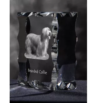 Bearded Collie, Highland Collie, Mountain Collie - crystal with a picture of a dog, glass statuette with a picture, unique frame with a picture from Art-Dog brand