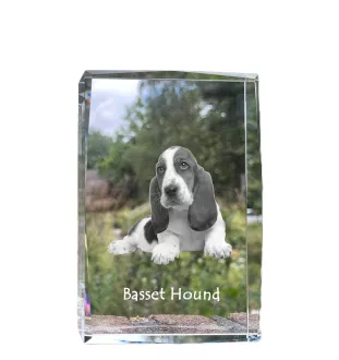 Basset Hound - crystal with a picture of a dog, photo in glass, modern exhibition of Art-Dog brand photo