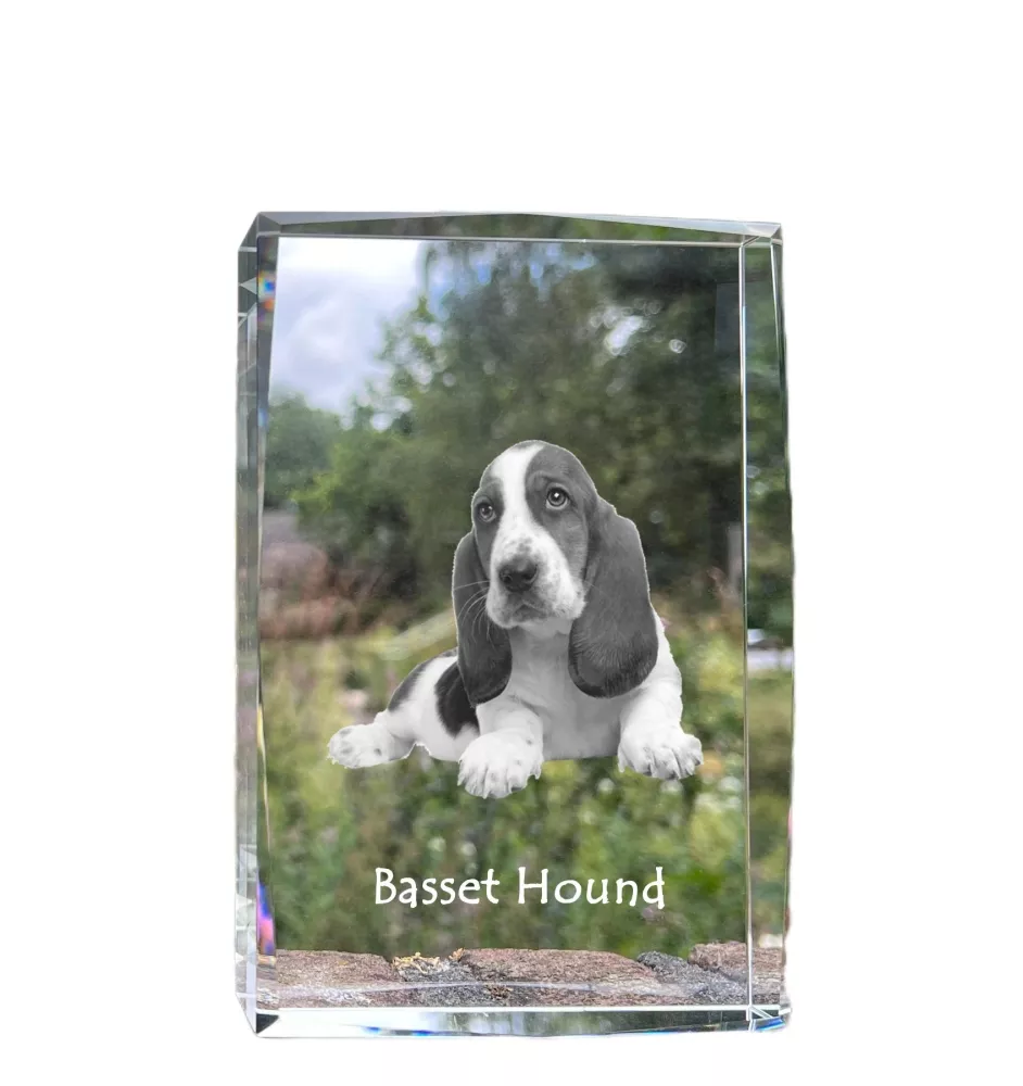 Basset Hound - Kristall mit einem Hundebild, Bild im Glas, moderne Ausstellung des Art-Dog-Bildes.