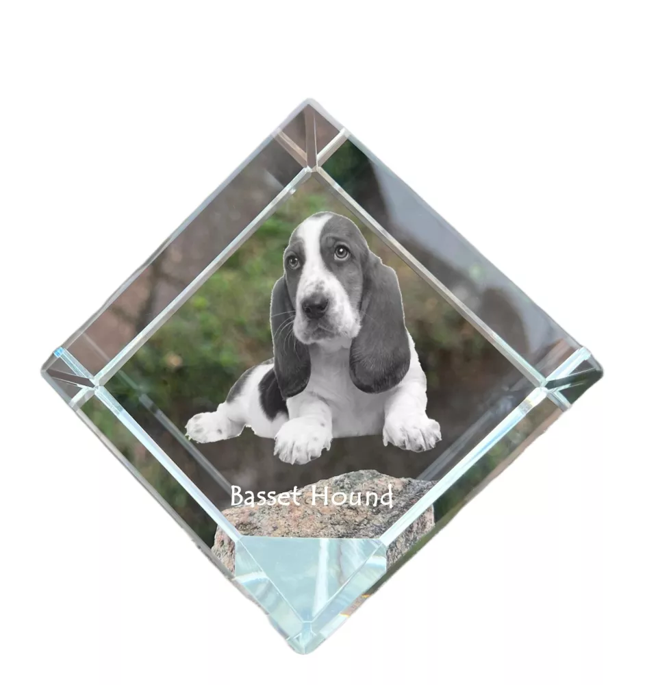 Basset Hound - un cube de cristal avec une photo, une photo de cheval dans le cristal, un presse-papiers cubique de la marque Art-Dog