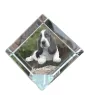 Basset Hound - Kristallwürfel mit Bild, Pferdebild im Kristall, sechseckiger Papierclip der Marke Art-Dog