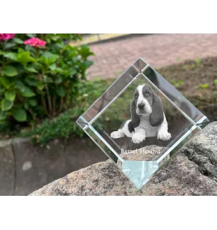 Basset Hound - crystal cube with a photo, photo of a horse in crystal, cubic paperweight from Art-Dog brand