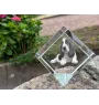 Basset Hound - un cube de cristal avec une photo, une photo de cheval dans le cristal, un presse-papiers cubique de la marque Art-Dog