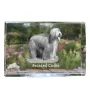 Bearded Collie, Highland Collie, Mountain Collie - crystal with a picture of a dog, photo in glass, modern exhibition of Art-Dog brand photo