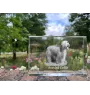 Bearded Collie - Kristall mit einem Hundebild, Bild im Glas, moderne Ausstellung des Art-Dog-Bildes.