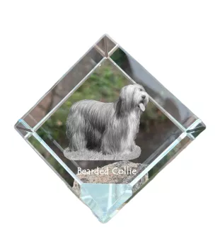 Bearded Collie kostka kryształowa z psem Art-Dog