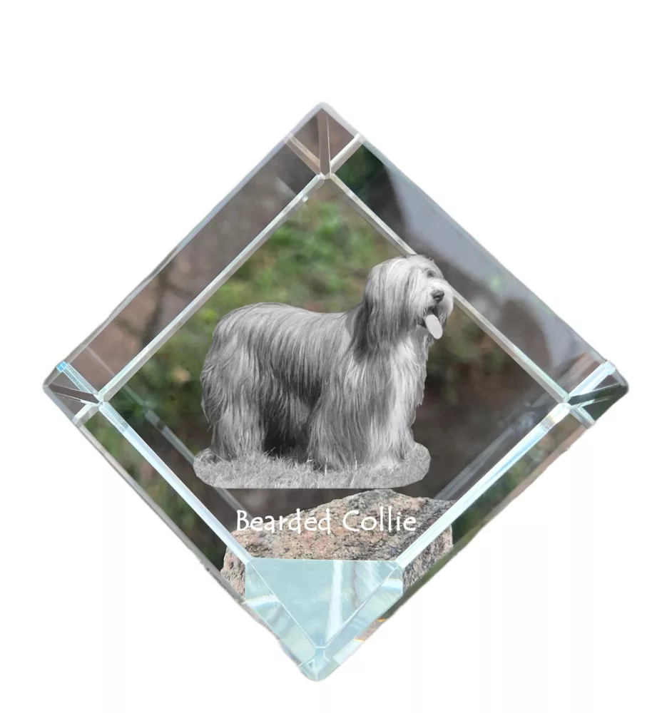 Bearded Collie - Kristallwürfel mit Bild, Pferdebild im Kristall, sechseckiger Papierclip der Marke Art-Dog