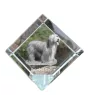 Bearded Collie - Kristallwürfel mit Bild, Pferdebild im Kristall, sechseckiger Papierclip der Marke Art-Dog