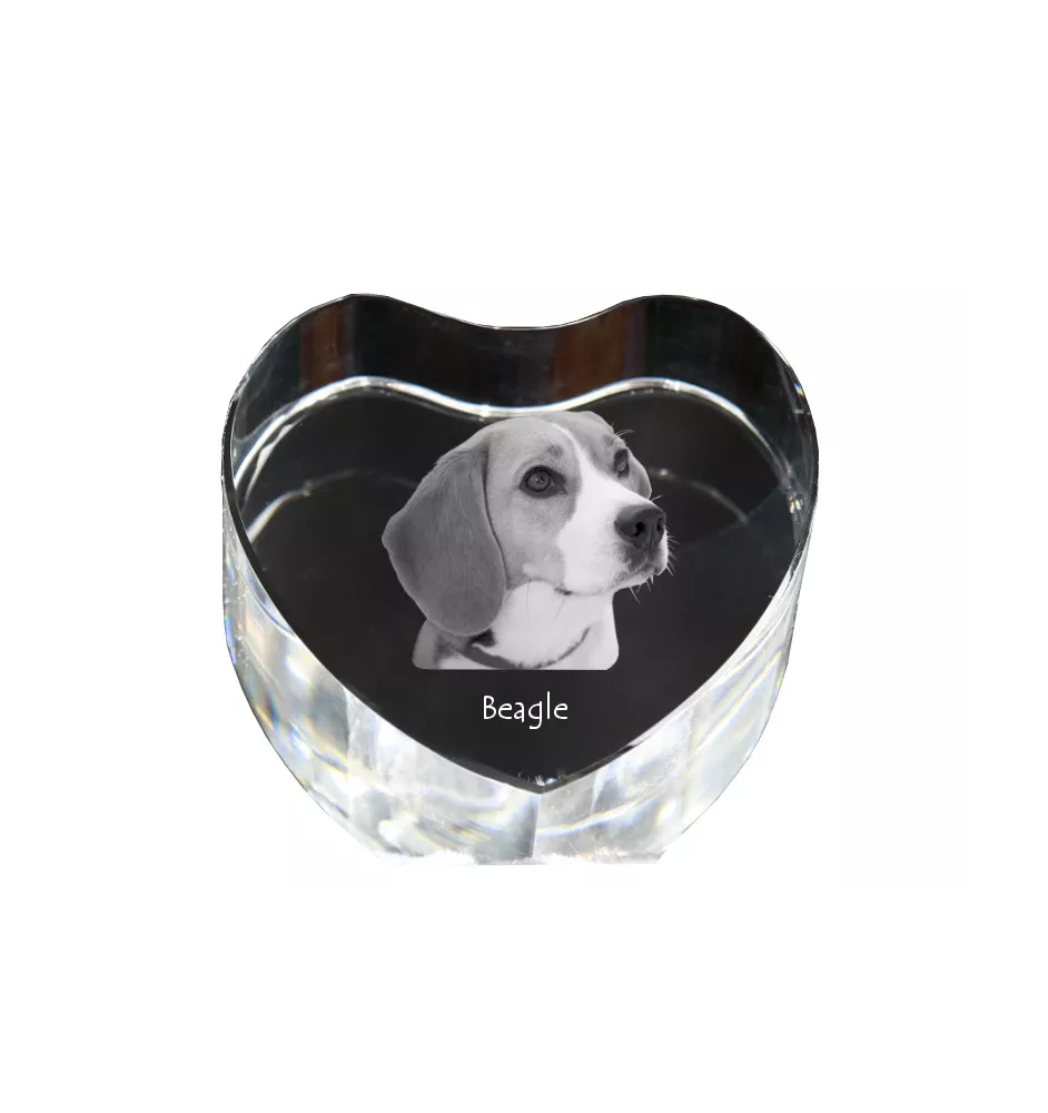 Beagle - une photo de chien dans un cristal, un cœur en cristal, un cadre photo exceptionnel de la marque Art-Dog