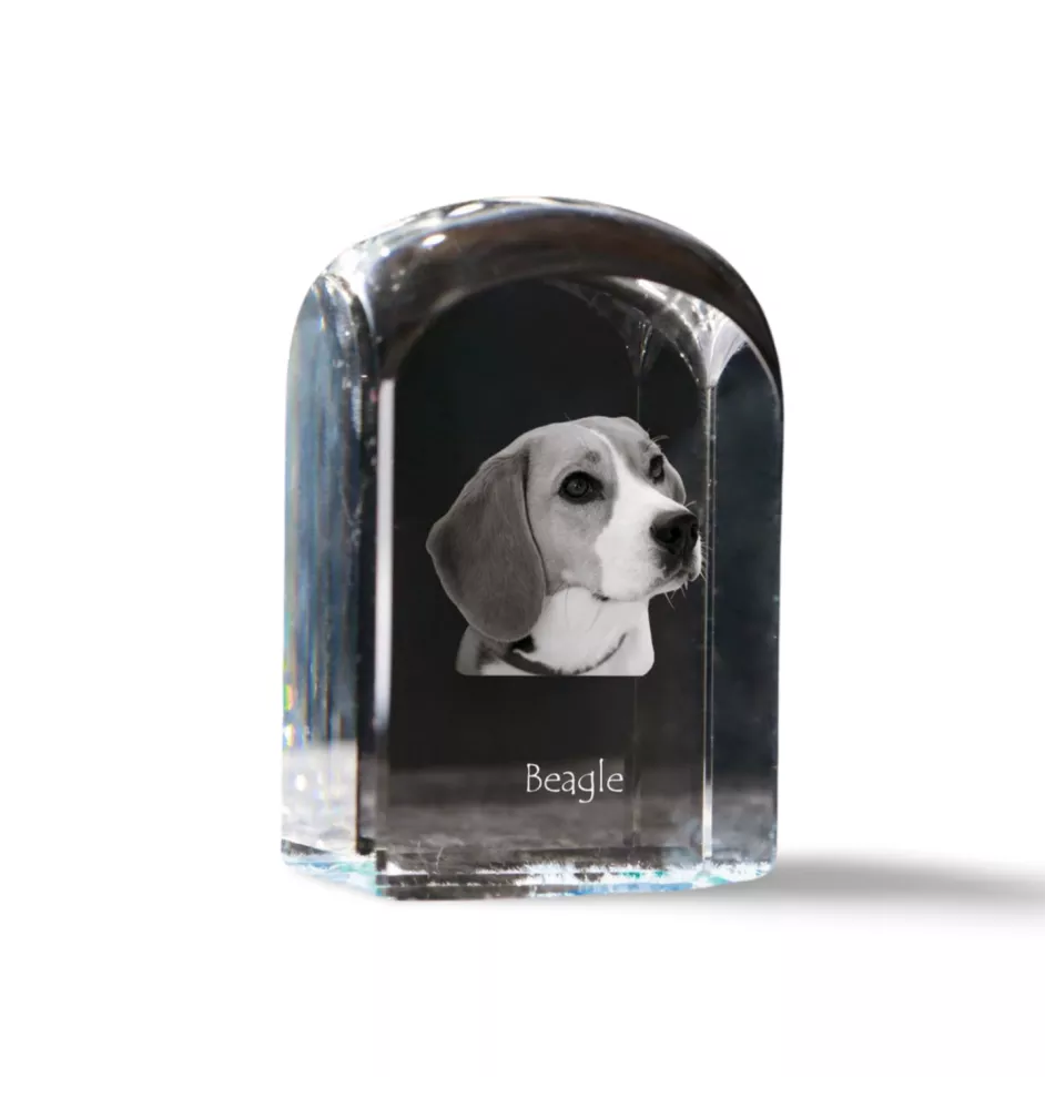 Beagle - un cube de cristal avec une photo, une photo de chien dans le cristal, un presse-papiers cubique de la marque Art-Dog