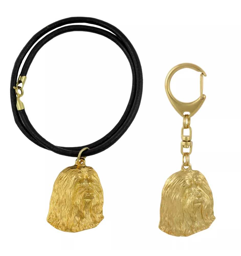 Collie Barbu, Bearded collie, Parfois appelé colley barbu - porte-clés et collier avec chien dans une boîte, produit plaqué or de haute qualité, marque Art-Dog
