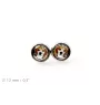 Beagle - boîte à bijoux avec votre photo, ensemble collier et boucles d'oreilles, produits personnalisés de la marque Art-Dog