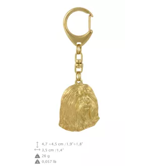 Bearded Collie, Highland Collie, Mountain Collie - keychain and necklace with a dog in a box, high-quality gold-plated product, Art-Dog brand