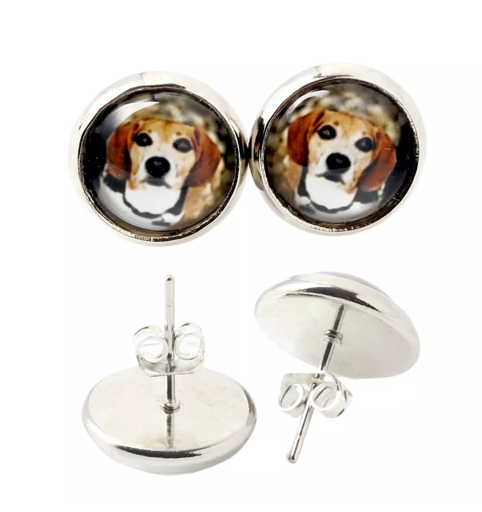 Beagle - earrings in a box, your photo, handmade jewelry, a product of the Art-Dog brand