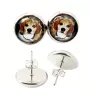 Beagle - Ohrringe in einer Schachtel, Ihr Foto, handgefertigter Schmuck, Eigenmarke von Art-Dog.
