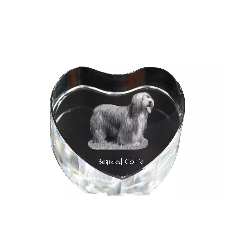 Collie Barbu, Bearded collie, Parfois appelé colley barbu - une photo de chien dans un cristal, un cœur en cristal, un cadre photo exceptionnel de la marque Art-Dog