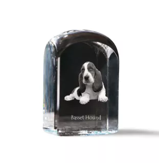 Basset Hound - crystal cube with a photo, photo of a dog in crystal, cubic paperweight from Art-Dog brand