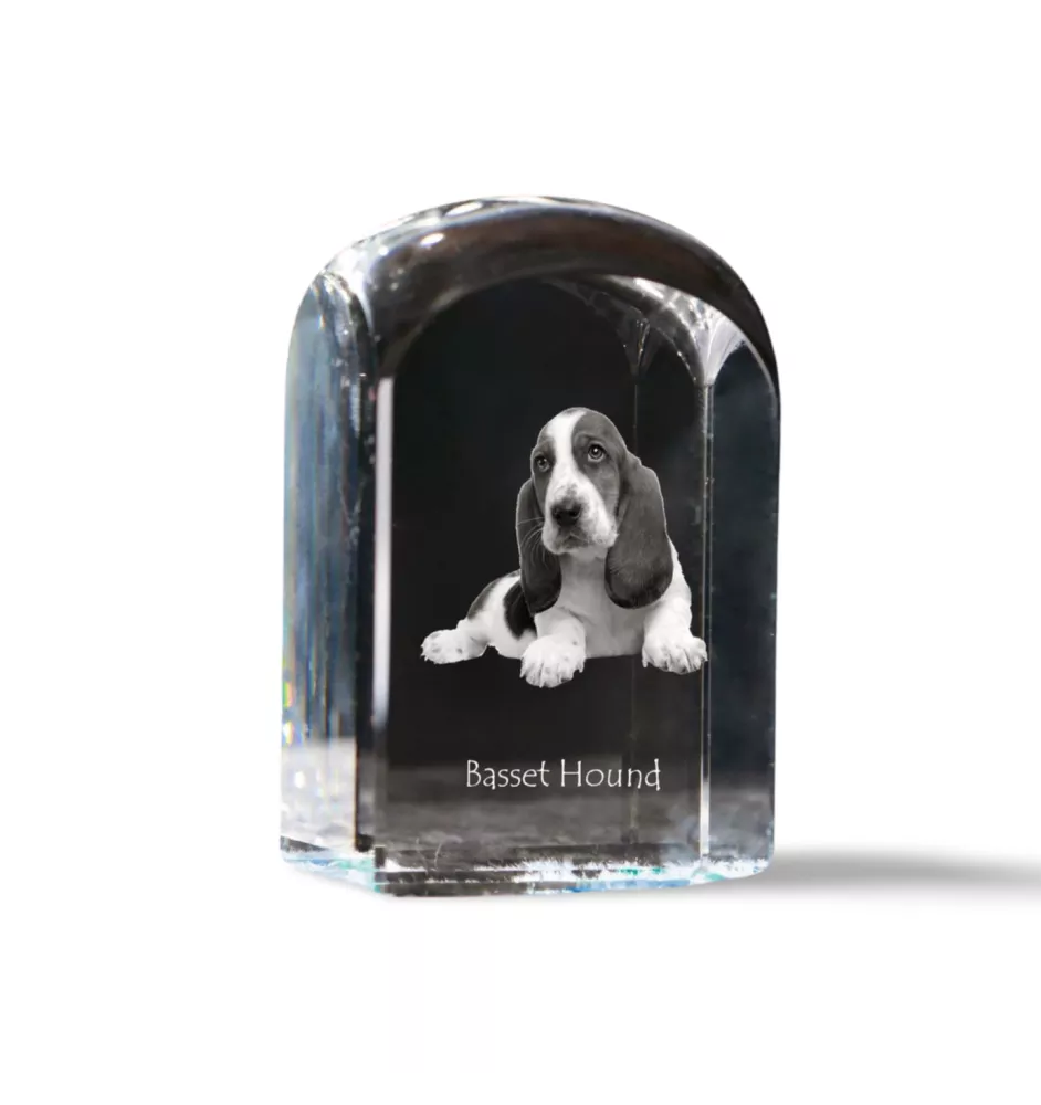 Basset Hound - crystal cube with a photo, photo of a dog in crystal, cubic paperweight from Art-Dog brand
