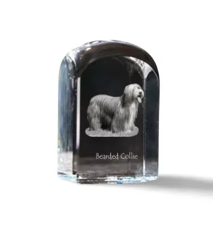 Collie Barbu, Bearded collie, Parfois appelé colley barbu - un cube de cristal avec une photo, une photo de chien dans le cristal, un presse-papiers cubique de la marque Art-Dog