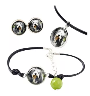 Bearded Collie, Highland Collie, Mountain Collie - a set of jewelry in a box, necklace, earrings, bracelet, products from the Art-Dog brand