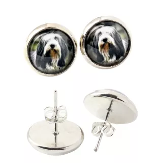 Collie Barbu, Bearded collie, Parfois appelé colley barbu - boucles d'oreilles dans une boîte, votre photo, bijoux faits à la main, produit de la marque Art-Dog.