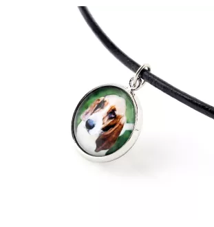 Basset Hound - ensemble de bijoux dans une boîte, collier, boucles d'oreilles, bracelet, produits de la marque Art-Dog