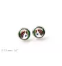 Basset Hound - earrings in a box, your photo, handmade jewelry, a product of the Art-Dog brand