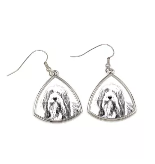 Collie Barbu, Bearded collie, Parfois appelé colley barbu - boucles d'oreilles avec chien, boucles d'oreilles pendantes avec photo, bijoux personnalisés avec impression de la marque Art-Dog