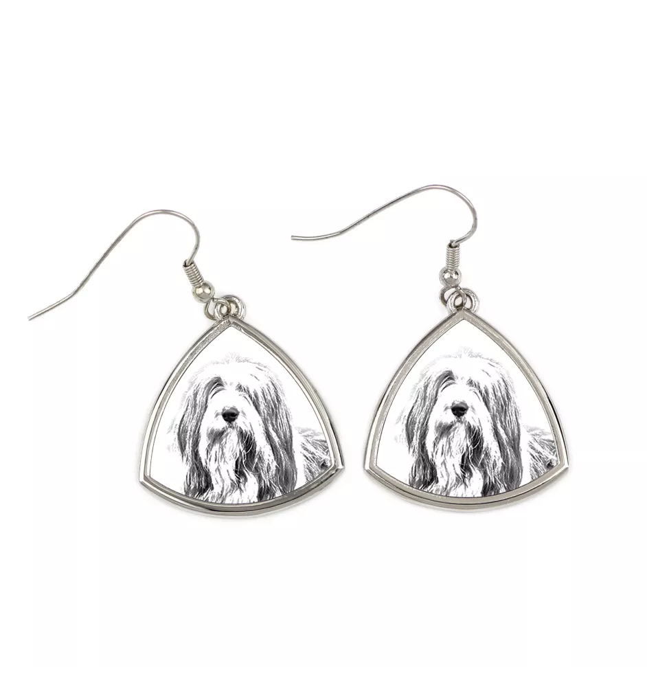 Bearded Collie, Highland Collie, Mountain Collie - dog earrings, hanging earrings with a picture, personalized jewelry with Art-Dog brand print