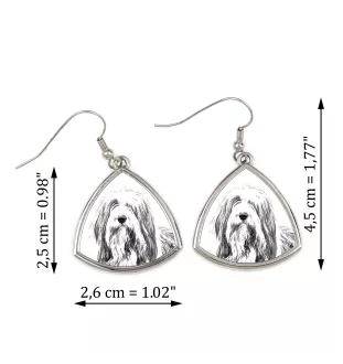 Bearded Collie kolczyki ze zdjęciem psa Art-Dog