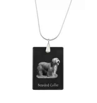 Collie Barbu, Bearded collie, Parfois appelé colley barbu - Pendentif en cristal avec chien, collier en argent avec photo, pendentif personnalisé par la marque Art-Dog