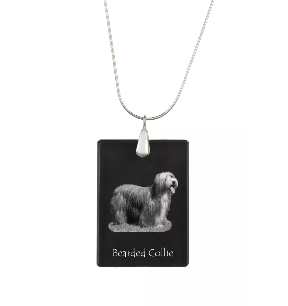 Collie Barbu, Bearded collie, Parfois appelé colley barbu - Pendentif en cristal avec chien, collier en argent avec photo, pendentif personnalisé par la marque Art-Dog
