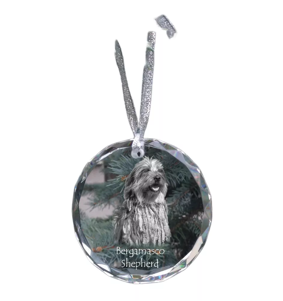 Bergamasker Hirtenhund, Berger de bergame - Kristallkugel mit Foto, Hundebild im Kristall, personalisierter Christbaumschmuck von Art-Dog.