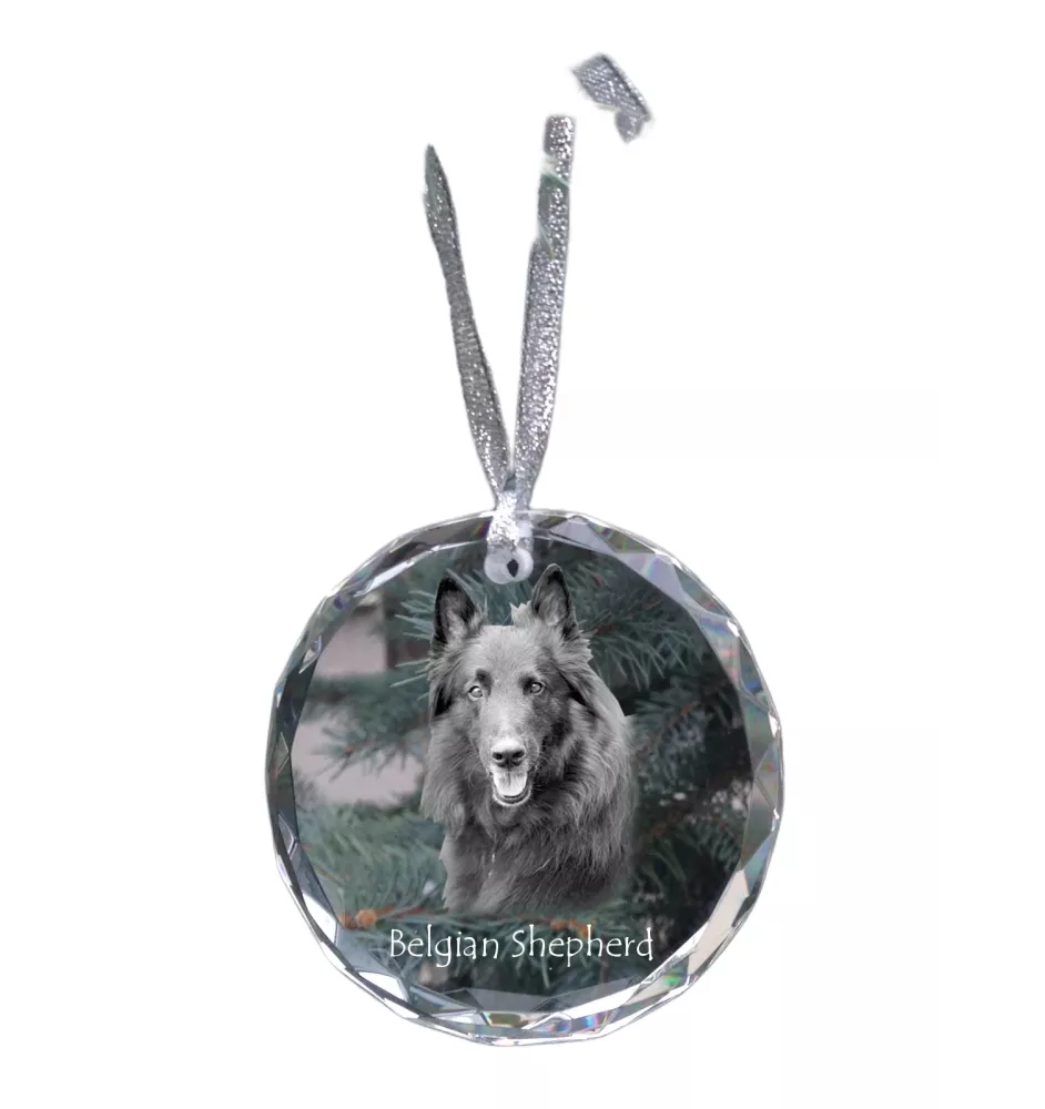 Chiens de Berger Belge - boule de Noël en cristal avec une photo, photo de chien dans le cristal, décoration personnalisée pour sapin de Noël de la marque Art-Dog