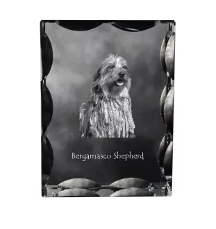 Bergamasco Shepherd Dog, Bergamasco Sheepdog - crystal with a picture of a dog, glass statuette with a picture, unique frame with a picture from Art-Dog brand