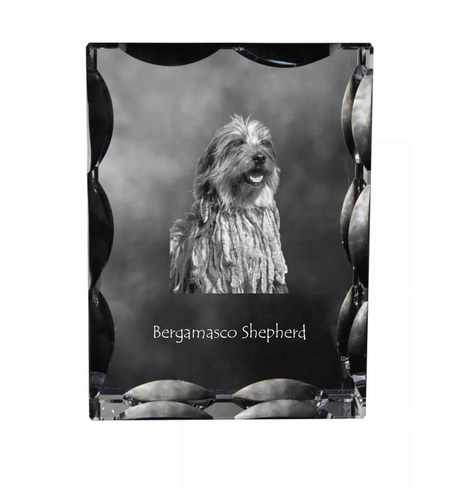 Bergamasker Hirtenhund, Berger de bergame - Kristall mit einem Hundebild, Glasstatuette mit einem Bild, einzigartiger Bilderrahmen der Marke Art-Dog