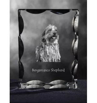 Berger Bergamasque, Berger de Bergame - cristal avec photo de chien, statuette en verre avec photo, cadre exceptionnel avec photo de la marque Art-Dog