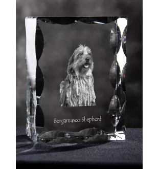 Berger Bergamasque, Berger de Bergame - cristal avec photo de chien, statuette en verre avec photo, cadre exceptionnel avec photo de la marque Art-Dog