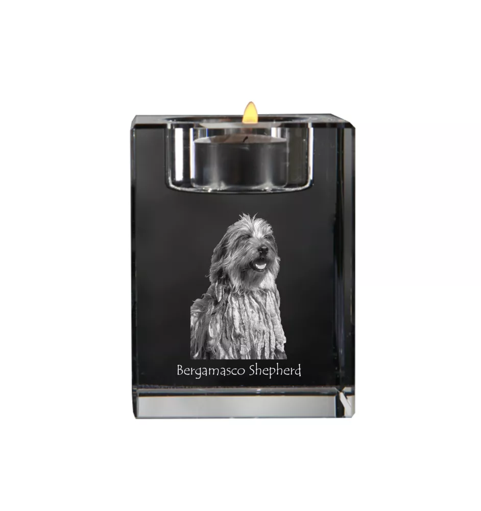 Bergamasker Hirtenhund, Berger de bergame - Kerzenhalter mit Hundefoto, Teelichthalter aus Kristall, personalisiertes Geschenk der Marke Art-Dog