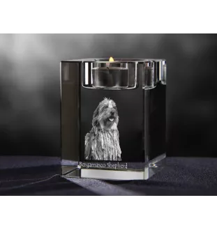 Bergamasker Hirtenhund, Berger de bergame - Kerzenhalter mit Hundefoto, Teelichthalter aus Kristall, personalisiertes Geschenk der Marke Art-Dog