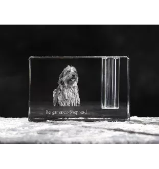 Bergamasco Shepherd Dog, Bergamasco Sheepdog - Pen stand, crystal organiser with dog photo, unique desk decoration by Art-Dog brand