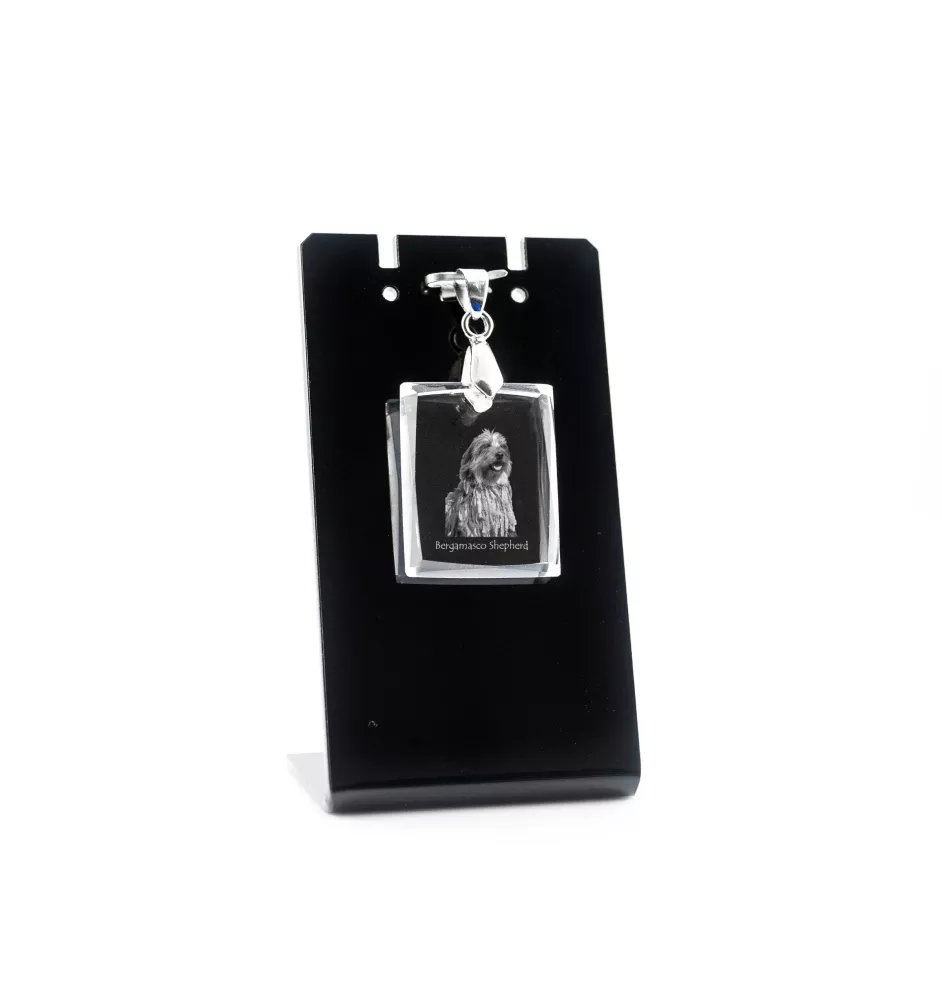 Berger Bergamasque, Berger de Bergame - Pendentif chien en cristal, collier photo, bijoux uniques par Art-Dog