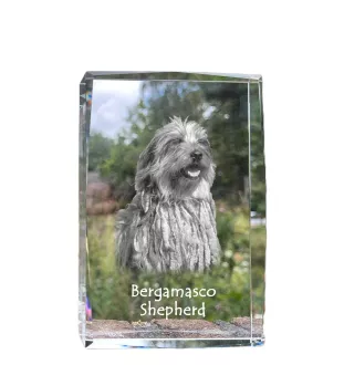 Bergamasker Hirtenhund, Berger de bergame - Kristall mit einem Hundebild, Bild im Glas, moderne Ausstellung des Art-Dog-Bildes.