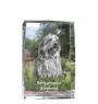 Berger Bergamasque, Berger de Bergame - cristal avec une photo de chien, photo sous verre, exposition moderne de la marque de photos Art-Dog