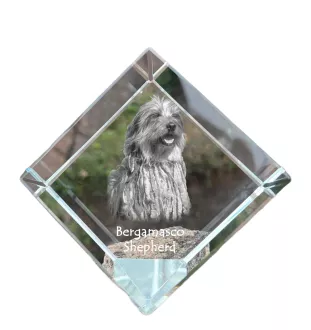 Bergamasco Shepherd Dog, Bergamasco Sheepdog - crystal cube with a photo, photo of a horse in crystal, cubic paperweight from Art-Dog brand