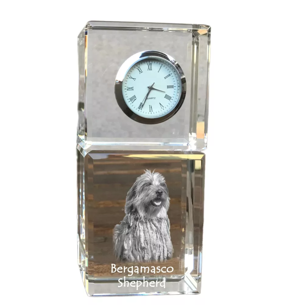 Bergamasco zegar kryształowy z psem Art-Dog