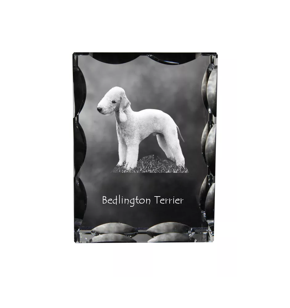 Bedlington Terrier, Rothbury Terrier - Kristall mit einem Hundebild, Glasstatuette mit einem Bild, einzigartiger Bilderrahmen der Marke Art-Dog